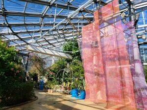 Inside of a large greenhouse letting in sunlight. The room is filled with green trees and plants, and on the right are red semi-transparent hanging screens