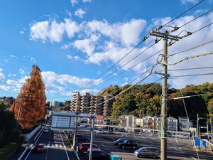 View from a footbridge over a road in Ofuna. Behind the cars and buildings, there are trees colored red and orange, and light poles stretching cables across the sky