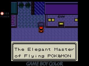 Standing outside the Violet City Gym reading the sign for Falkner: The Elegant Master of Flying Pokemon