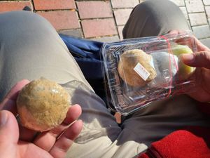 Person holding up a kinako ohagi in one hand and a tray with white, green, and brown daifuku and ohagi