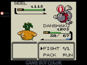 DANSHAKU facing off against a gray Seel balanced on a red and white beach ball