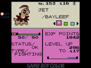 Fighting-type Bayleef named JET