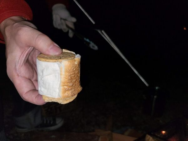 Daikon holding an enormous marshmallow sandwiched between two tiny crackers.