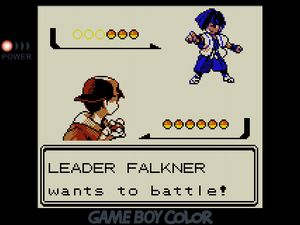 LEADER FALKNER wants to battle!