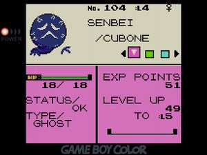 Ghost-type Cubone named SENBEI