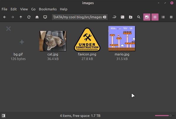 Folder "images" within "src" with four images: "bg.gif", "cat.jpg", "favicon.png", and "mario.jpg"