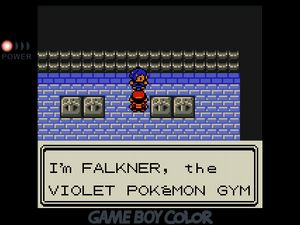 I'm FALKNER, the VIOLET POKEMON GYM LEADER.