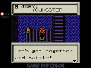 Joey the Youngster calling to say 'Let's get together and battle!'