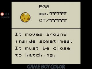 Stats page for the EGG. 'It moves around inside sometimes. It must be close to hatching.'