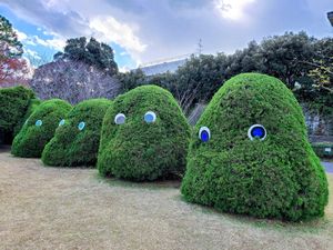 Four blobby green bushes, each with two large cartoonish blue eyes