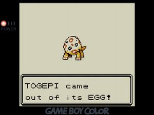 TOGEPI came out of its EGG! The mysterious egg with four stocky yellow legs poking out the bottom with a tail sticking out the back