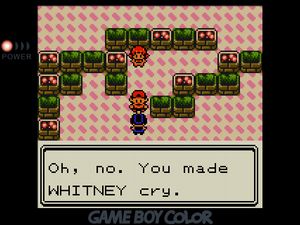 Gym trainer telling the player, 'Oh, no. You made WHITNEY cry.'