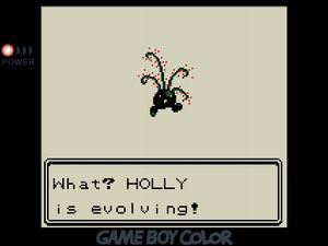 What? HOLLY the Oddish is evolving!