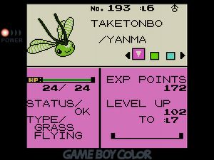 Grass/Flying-type Yanma named TAKETONBO