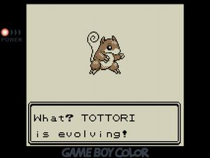 What? TOTTORI the Sandshrew is evolving!