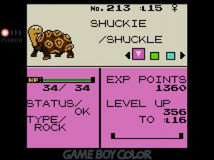 SHUCKIE the Rock-type Shuckle. Its shell has fused completely to its body and has a knobby texture