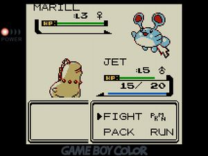 JET the Chikorita facing off against a Marill with huge antenna-like ears