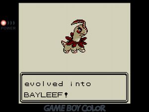 JET evolved into BAYLEEF!