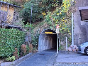 A small, narrow and low tunnel set in the side of a hill, with vines and plants crawling down