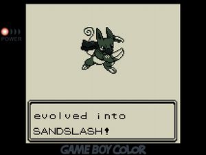 TOTTORI has evolved into Sandslash! A dark mouse with a pig-like snout and huge sharp claws