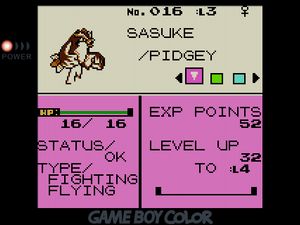 Fighting/Flying Pidgey named SASUKE