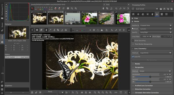 Editing the above photos inside of RawTherapee