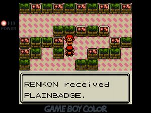 RENKON received PLAINBADGE.