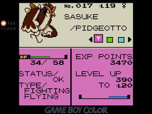 SASUKE the beefy Fighting/Flying-type Pidgeotto on tiny little stick figure legs