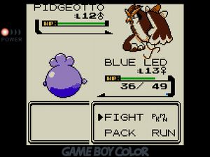 BLUE LED facing off against a muscular PIDGEOTTO with thin stick figure legs