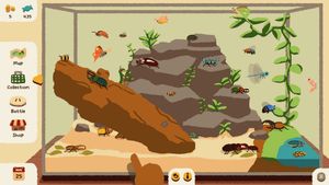 A terrarium in Kabuto Park that is filled with an assortment of beetles, bees, flies, mantises, butterflies, dragonflies, and other bugs