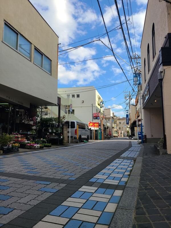 The cobbled street in front of the theater with white and blue patterned bricks. The street is empty and narrow with a flower shop across from the theater, and a blue sky above