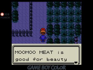 Player talking to a Beauty Trainer who says, 'MOOMOO MEAT is good for beauty'