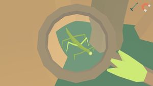 A smiling green walking stick bug under the magnifying glass