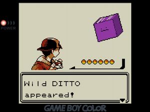 Wild DITTO appeared! Ditto is a purple cube