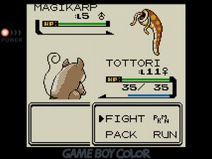 TOTTORI facing off against a Magikarp that looks like a brown lamprey